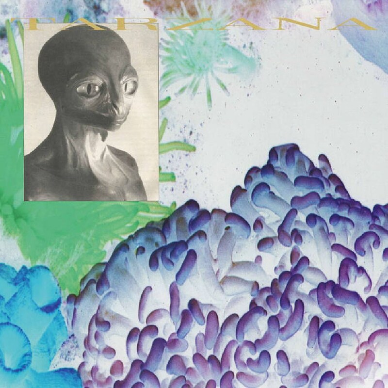 Aqua X: Super Coracle / Tarzana Split