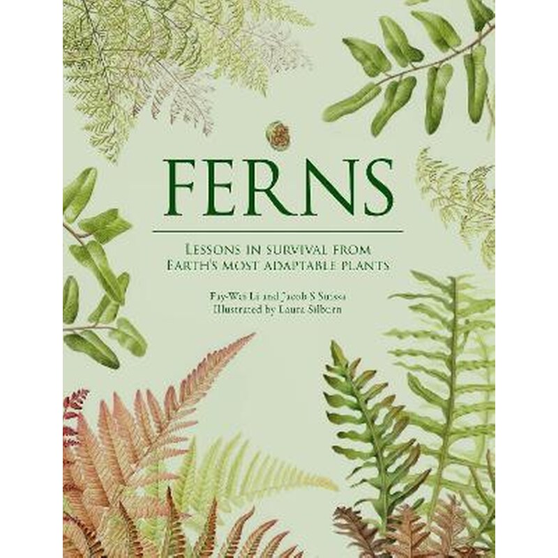 Ferns