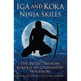 Iga and Koka Ninja Skills