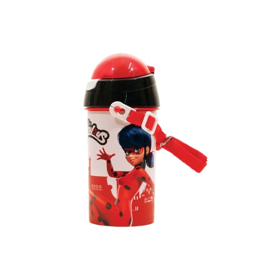 Παγούρι FD Miraculous 500ml image 0