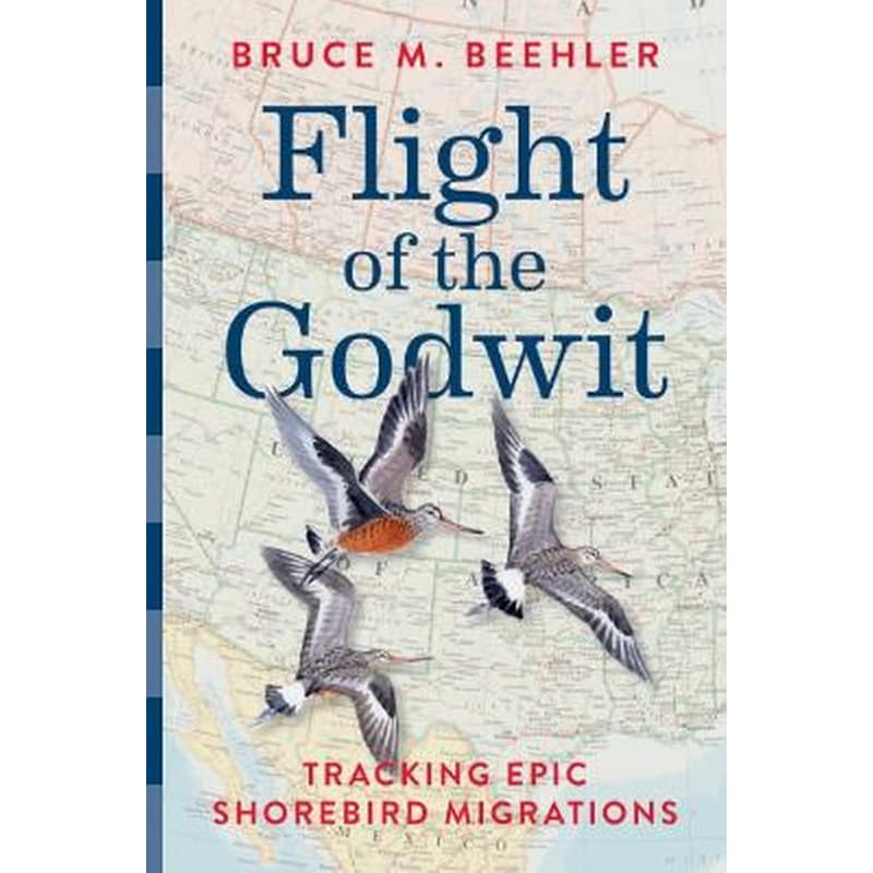 Flight of the Godwit