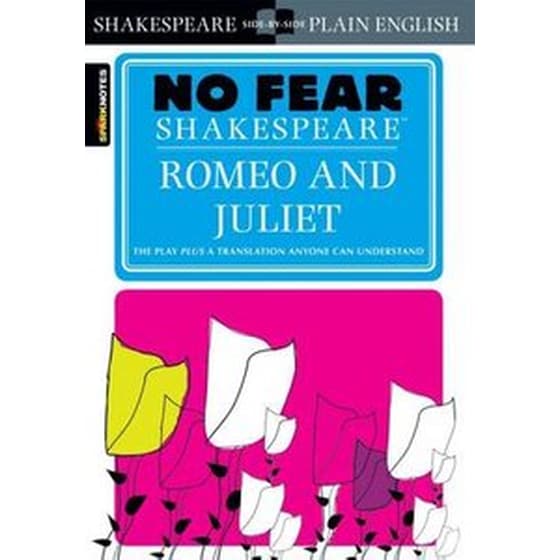 Romeo and Juliet image 0