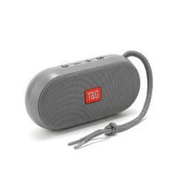 T&G TG-179 Φορητό Ηχείο 5W - Γκρι