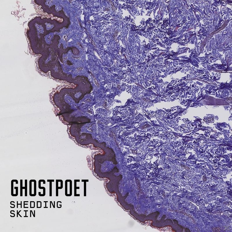 Shedding Skin (LP + Bonus CD)