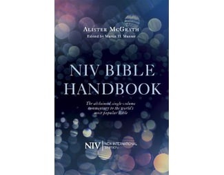 NIV Bible Handbook image 0