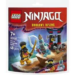 LEGO®  Mini-Builds Arin Vs. Dragonian Battle (30700)