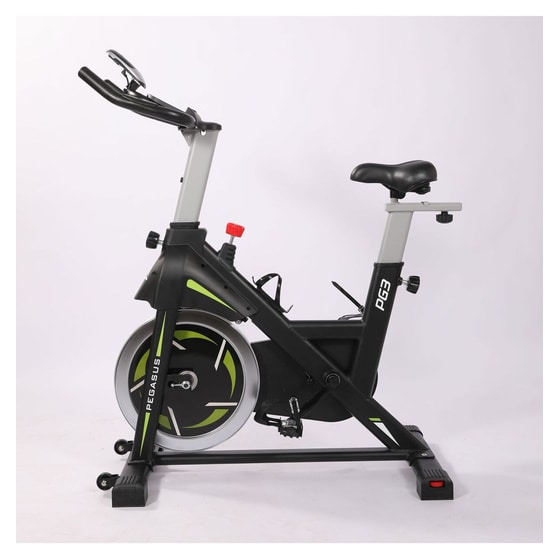 PEGASUS  PG3 Ποδήλατο Spinning Μαγνητικό με Ροδάκια image 3