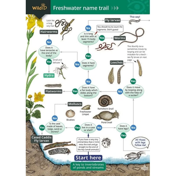 Freshwater name trail image 0