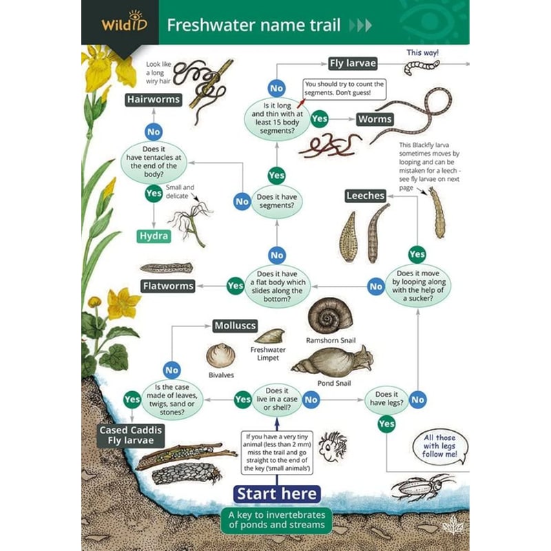 Freshwater name trail