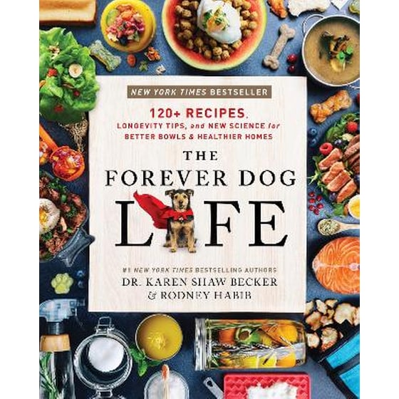 The Forever Dog Life image 0
