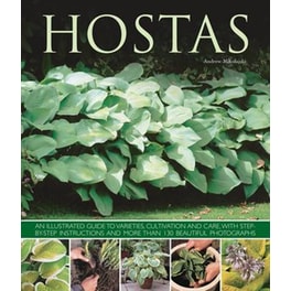 Hostas