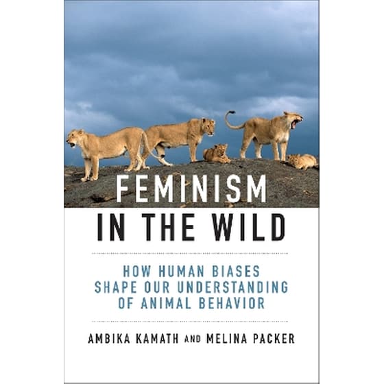 Feminism in the Wild image 0