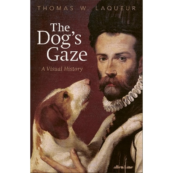 The Dog's Gaze image 0