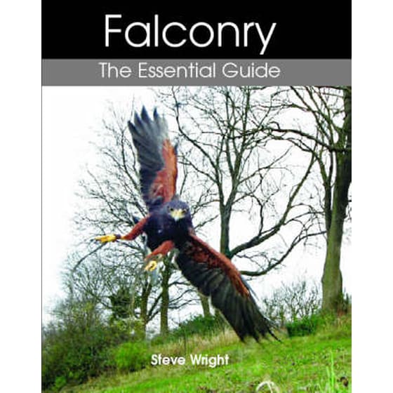 Falconry image 0