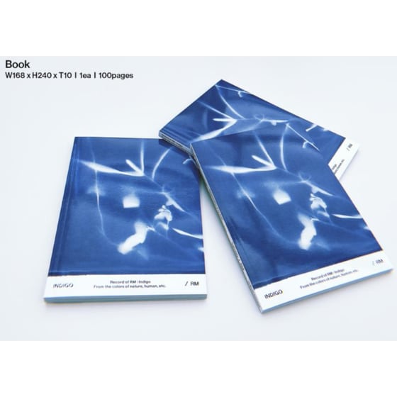Indigo (Book Version) image 2