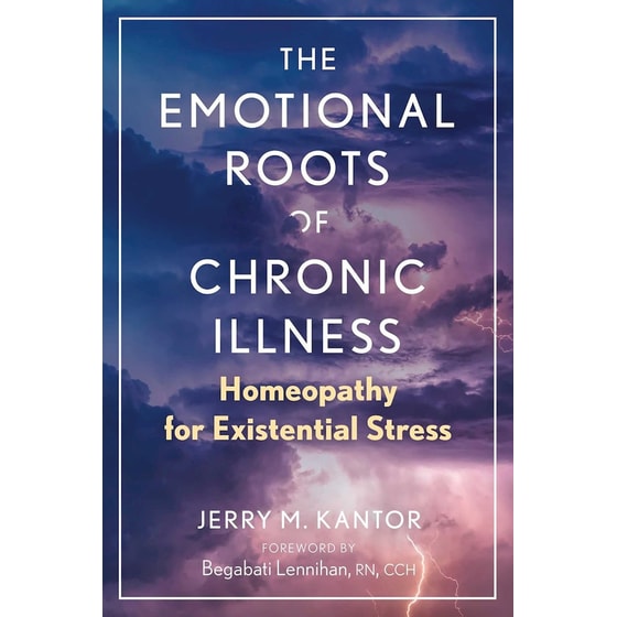The Emotional Roots of Chronic Illness image 0