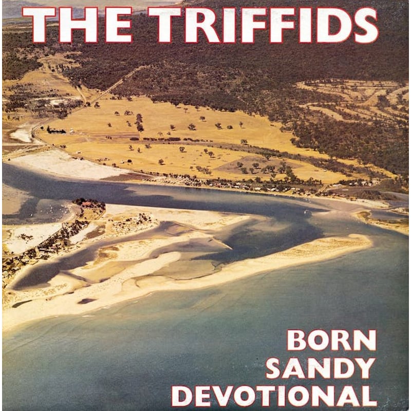Born Sandy Devotional (LP)