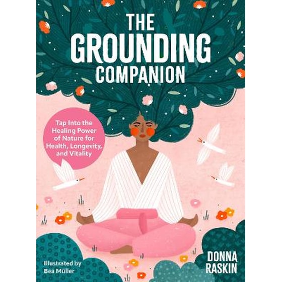The Grounding Companion image 0