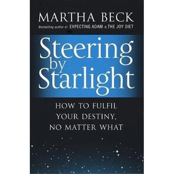 Steering By Starlight image 0