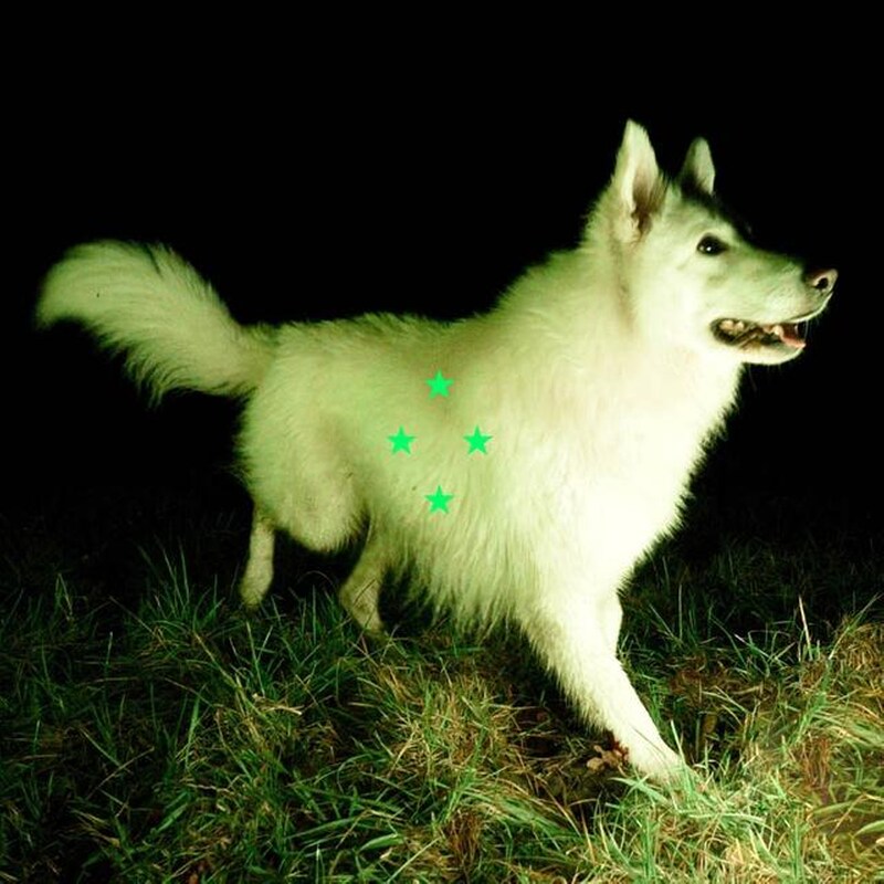 Compare Whats There (Fluorescent Green)