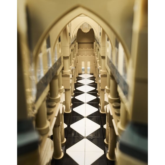 LEGO® Architecture Notre-Dame de Paris (21061) image 8