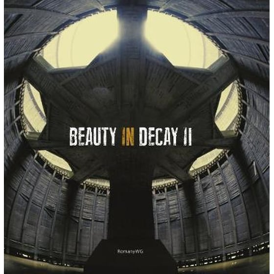 Beauty in Decay Ii image 0