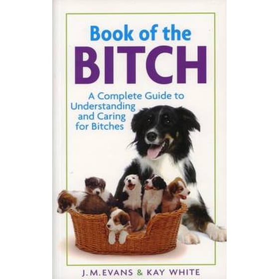 Book of the Bitch image 0