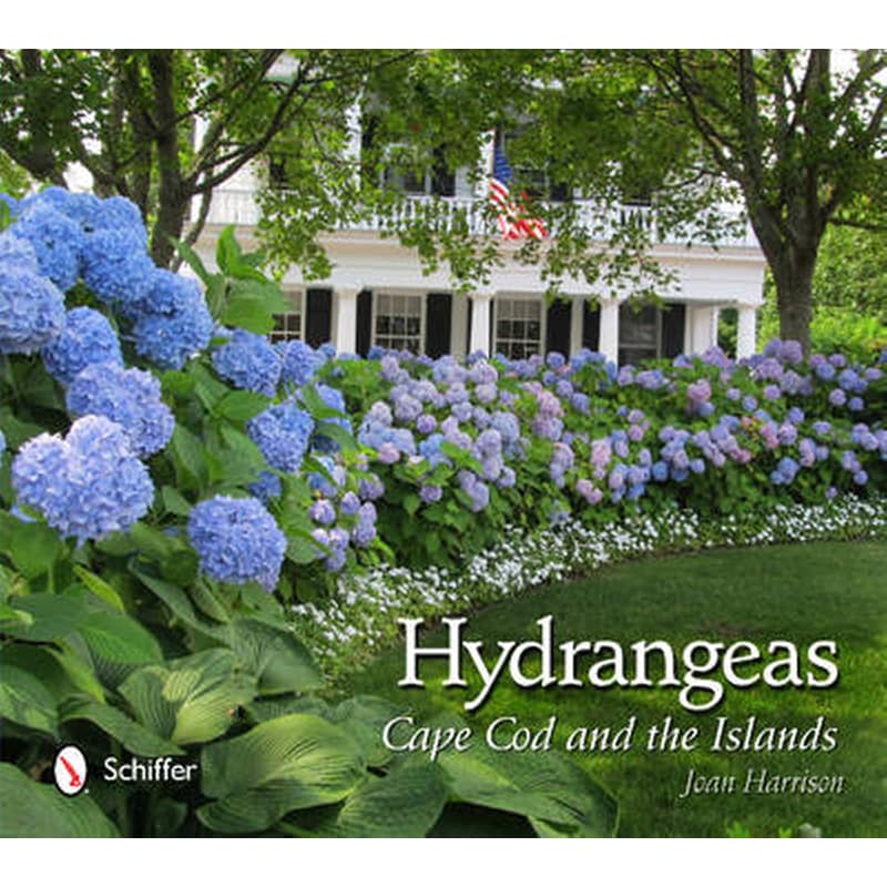 Hydrangeas- Cape Cod and the Islands