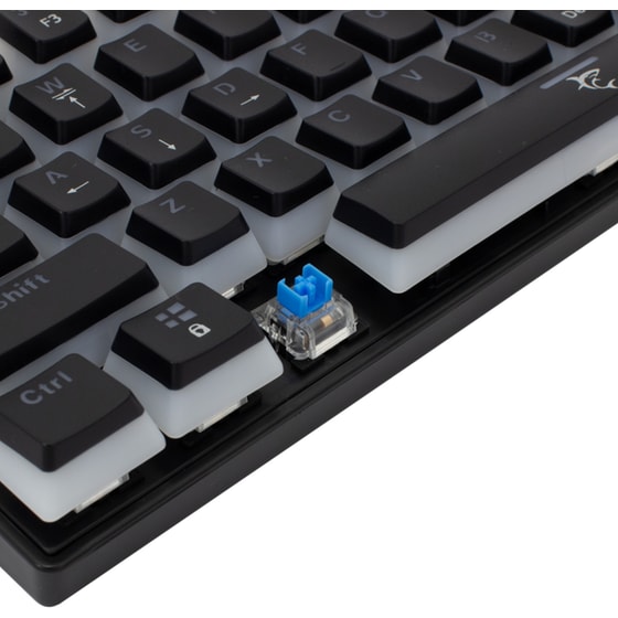 White Shark Ashiko Gaming Μηχανικό Ενσύρματο Πληκτρολόγιο με Custom Blue διακόπτες και RGB φωτισμό Μαύρο (US) image 4