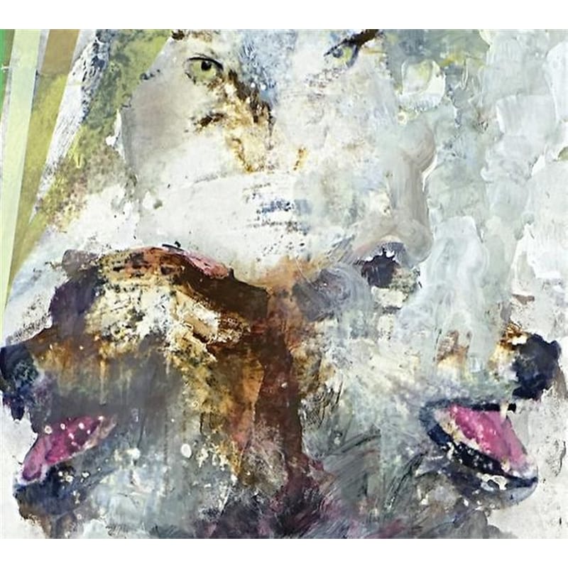 Tail Swallower And Dove (Orange Vinyl)