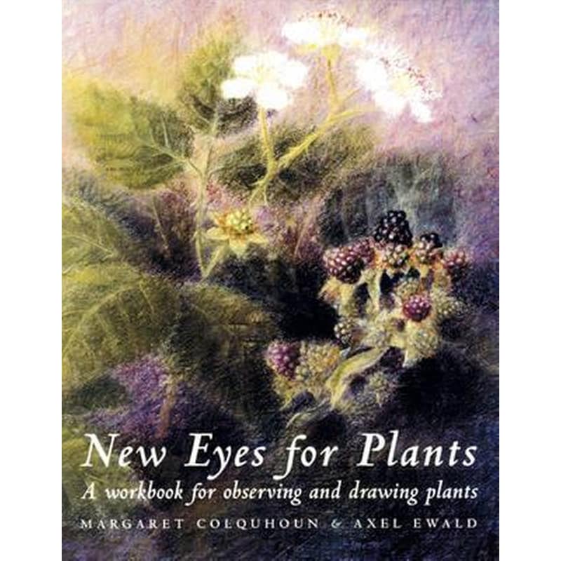 New Eyes for Plants