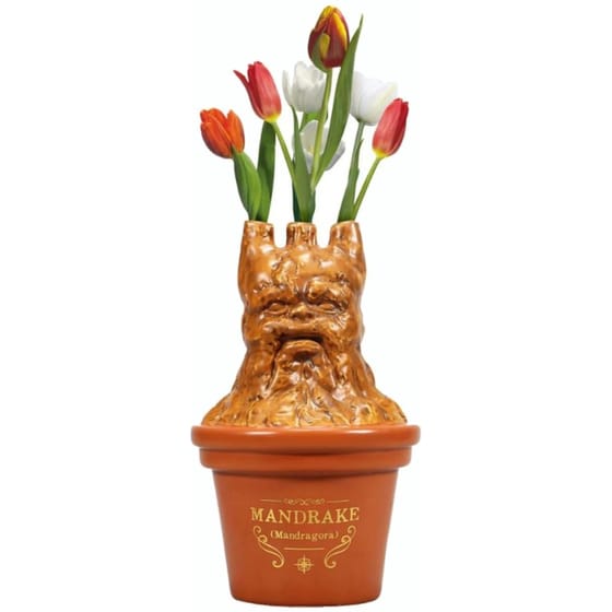 Διακοσμητικό Βάζο Half Moon Bay Harry Potter Mandrake Κεραμικό - Πολύχρωμο image 0