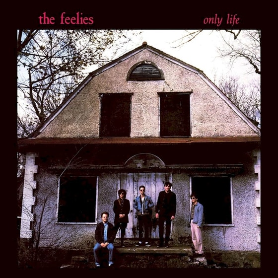 Only Life (LP) image 0