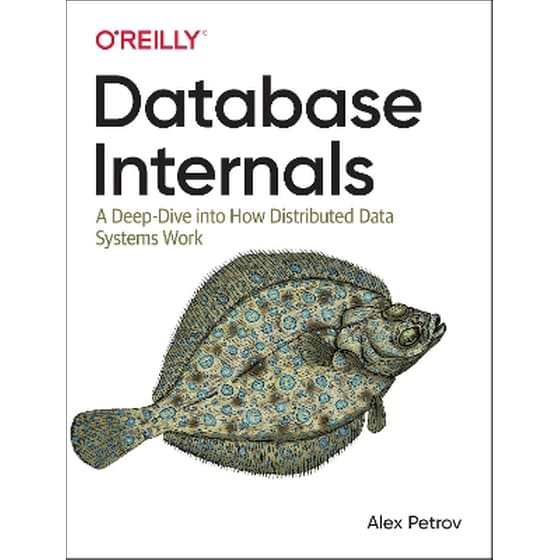 Database Internals image 0