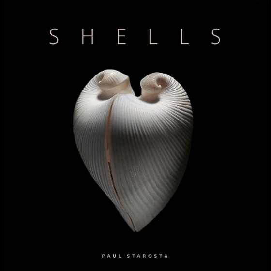 Shells image 0