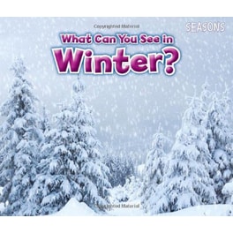 What Can You See In Winter?