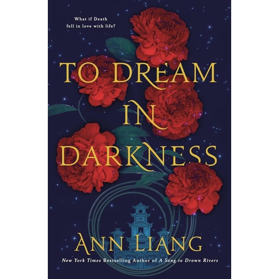 To Dream in Darkness image 0