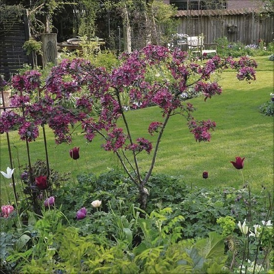 Ημερολόγιο Τοίχου 2025 Gartenträume image 4