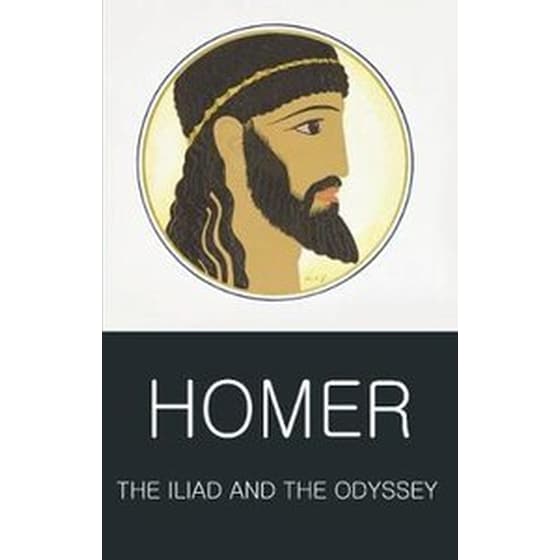 The Iliad and the Odyssey image 0