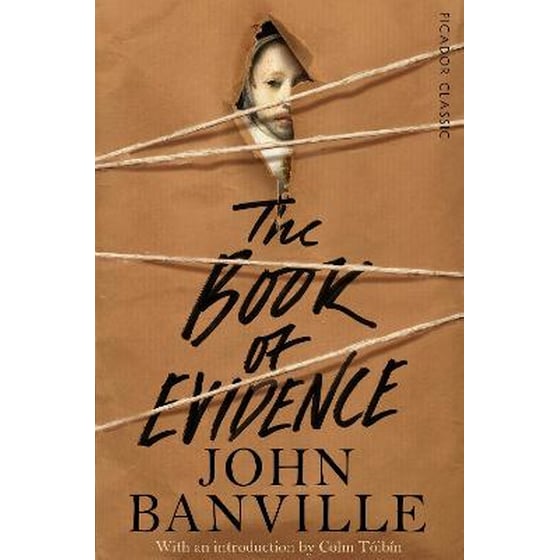 The Book of Evidence image 0