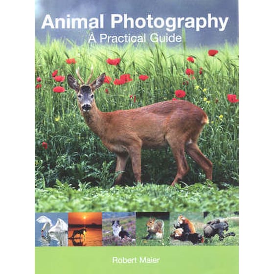 Animal Photography image 0