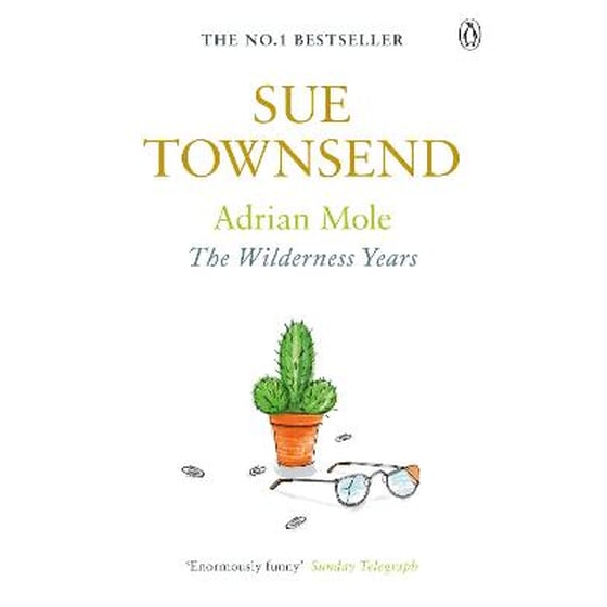 Adrian Mole: The Wilderness Years image 0