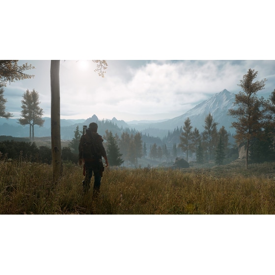 Days Gone - PS4 image 4