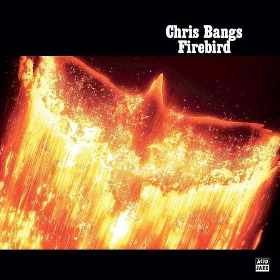 Firebird image 0