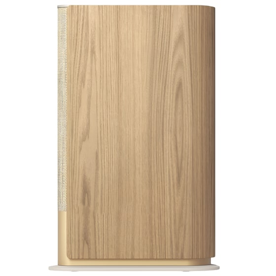 Ban Amp; Olufsen Beosound Emerge image 0