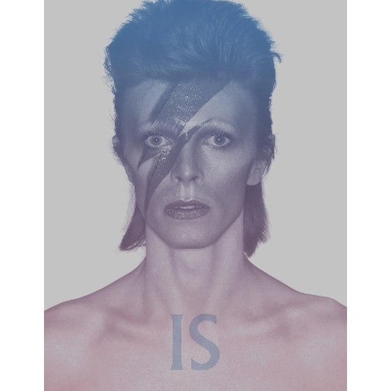 David Bowie Is image 0
