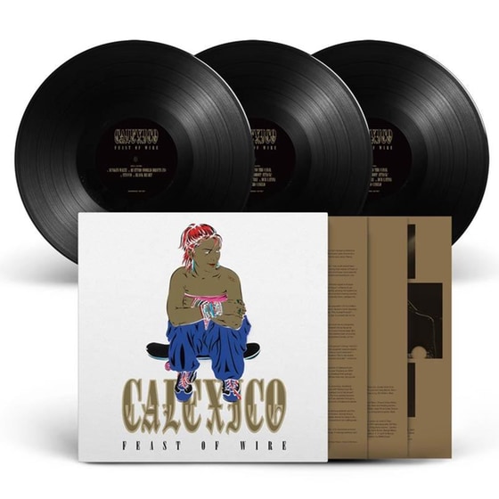 Feast Of Wire Limited 20th Anniversary Deluxe Ed.(3LP) image 0
