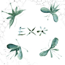 Exo