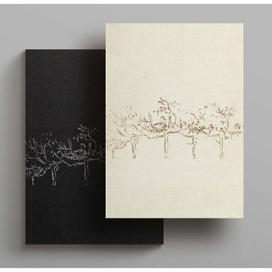 The Notebooks and Drawings of Louis I. Kahn image 0