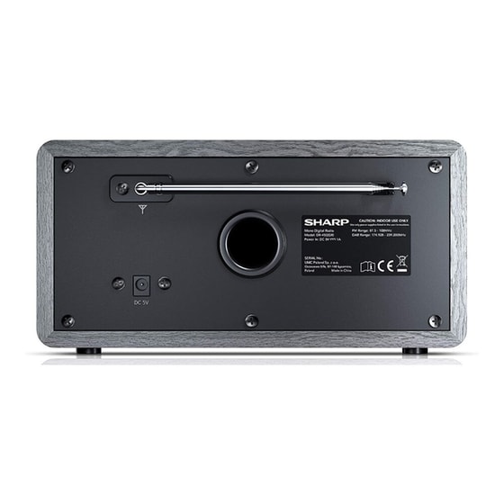 Ψηφιακό Ραδιόφωνο Sharp DR-450 Γκρι image 1
